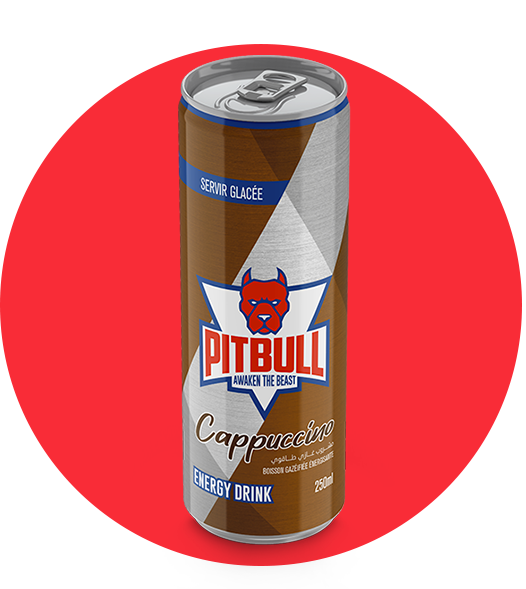 BOISS ENERGIE PITBULL CAN 25CL