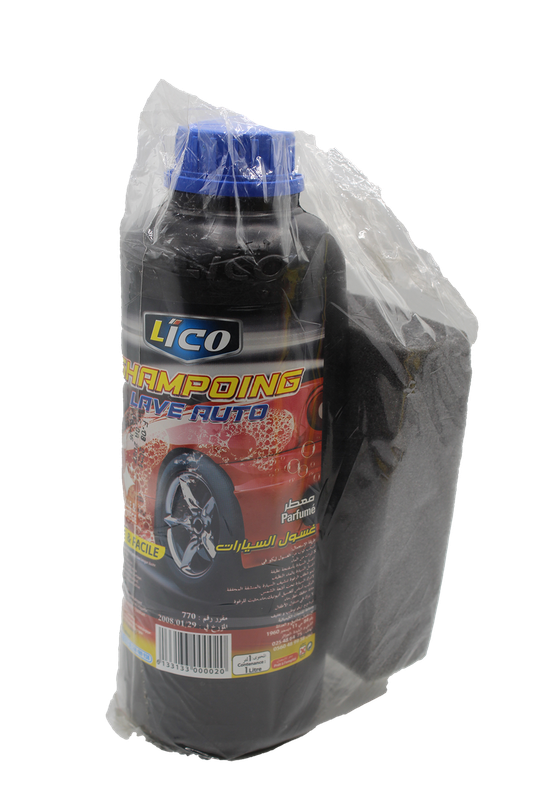 LAVE AUTO AUTO CHAMPOING