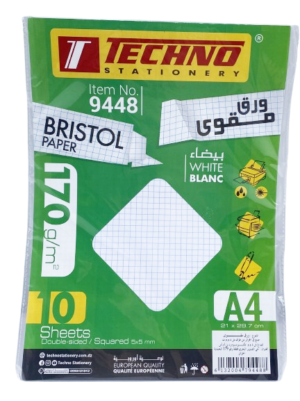 FICHE BRISTOL 5 5 A4 170G PQT