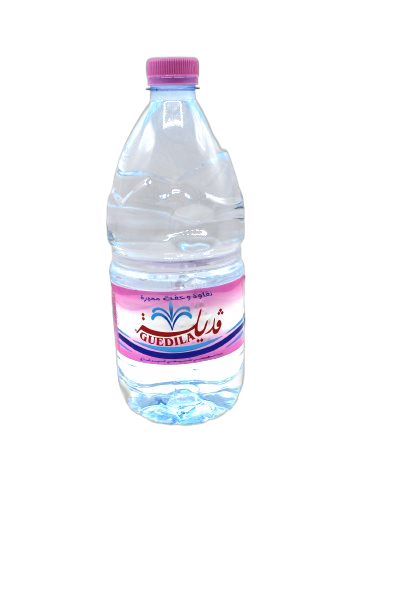 EAU MINERALE GUEDILA 1L