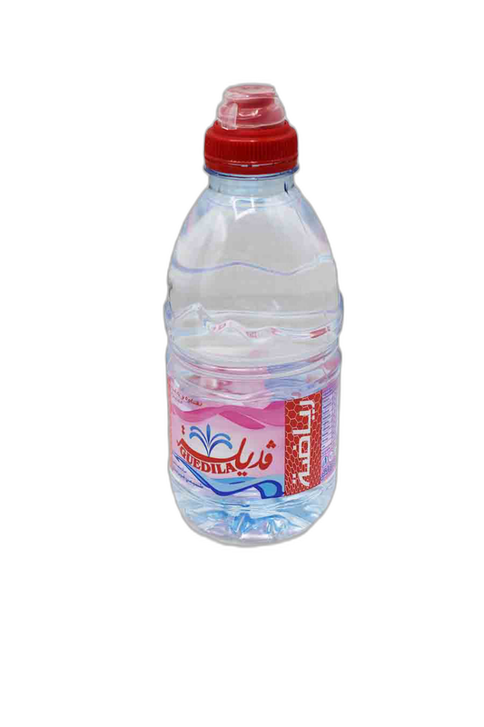 EAU MINERALE GUEDILA 33CL SPRT