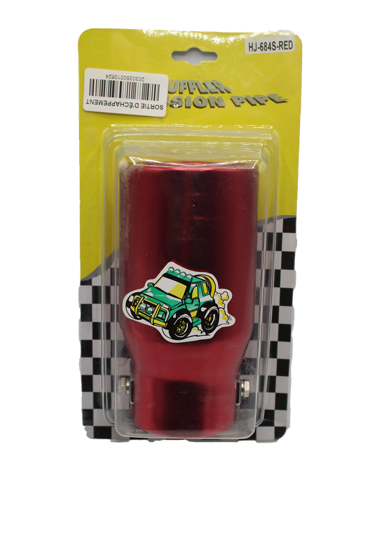 SORTIE D ECHAPPEMENT MZ CI 06