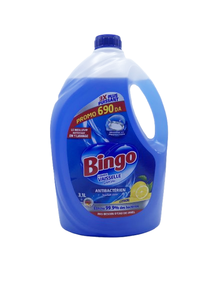 BINGO LVAISS HARMONIE PROMO3.1