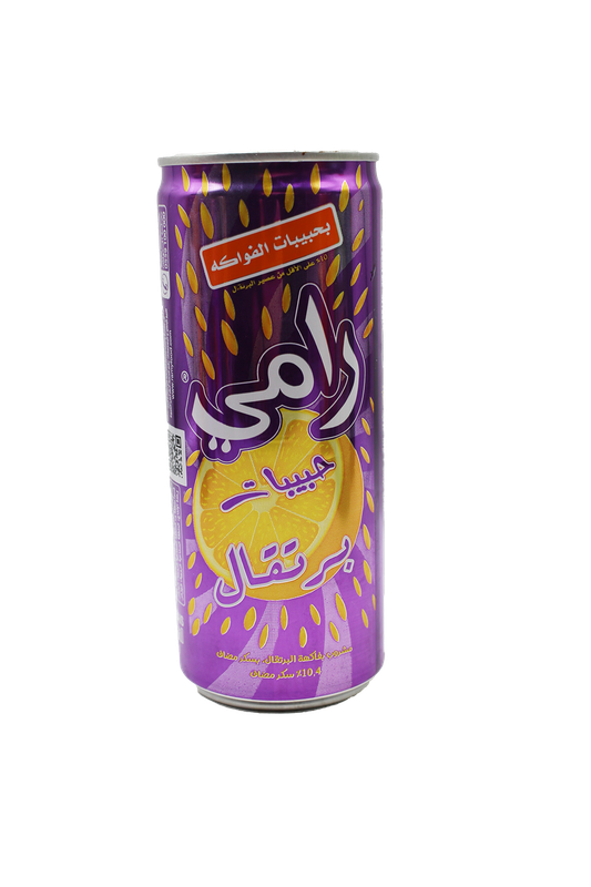 BOISS RAMY240ML ORGE CANN