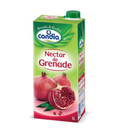 CANDIA BOISSON FRUITS NECTAR