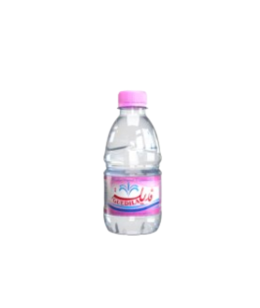 EAU MINERALE GUEDILA 33 CL