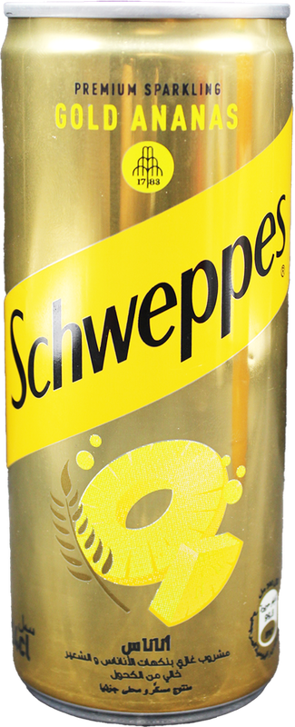 SCHWEPPES G ANANAS MALTE 24CL