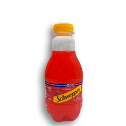 SCHWEPPES POM GREN PET 30 CL