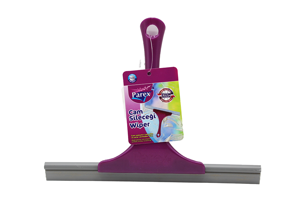 MONI RACLEUR POUR VITRE PAREX