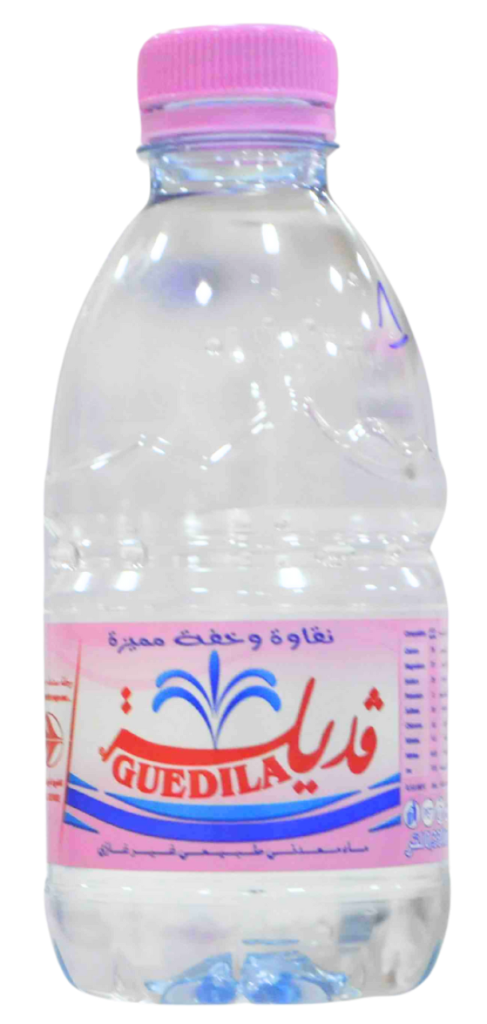 GUEDILA eau minerale  0,33L