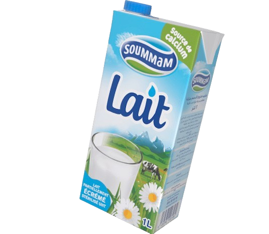 LAIT UHT SOMAM PRT ECRME1L