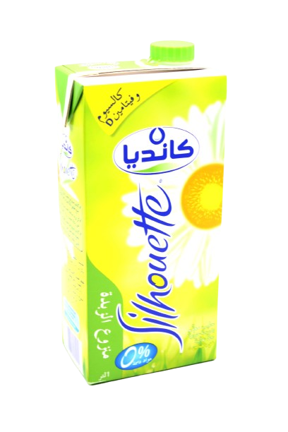 CANDIA silhouette lait 1L