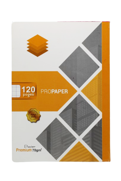 CAHIER 120 PAGES PIQUE  GF A47