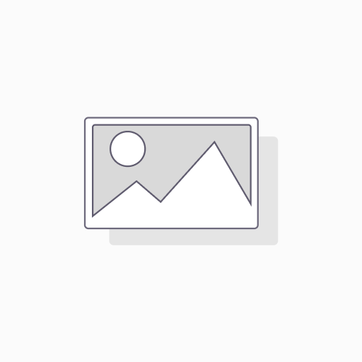 PINCEAU ROND N 10 48 PCS 4812