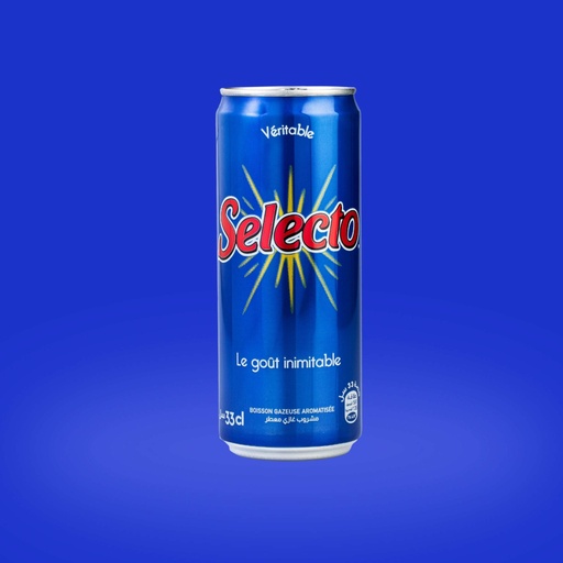 [DZ-01057] HAMOUD SELECTO CAN 33CL