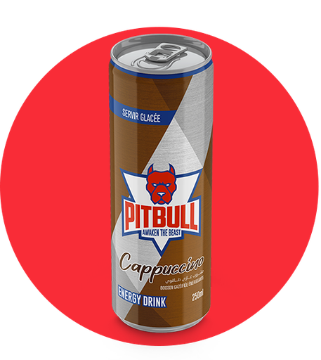 [DZ-01107] BOISS ENERGIE PITBULL CAN 25CL
