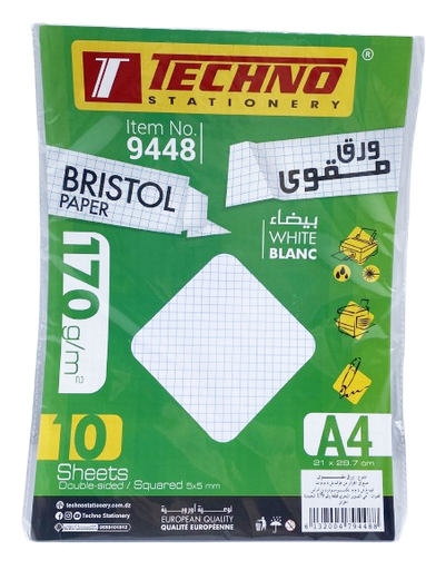 [32006366] FICHE BRISTOL 5 5 A4 170G PQT