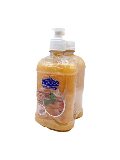 [12009868] PACK SAV LIQ PECHE 400ML+400ML