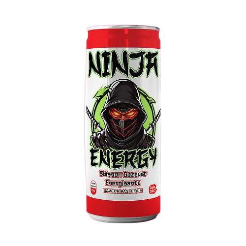 [10002084] NINJA CANETTE 24CL ENERGIE