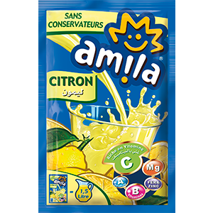 [99057] BOISS.RECONS AMILA CITR 35G
