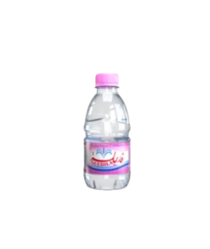 [10001573] EAU MINERALE GUEDILA 33 CL