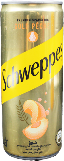 [10001616] SCHWEPPES G MALTE PECHE 24CL