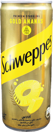 [10001617] SCHWEPPES G ANANAS MALTE 24CL