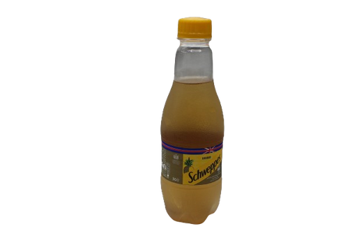 [10001906] SCHWEPPES MALT ANNA PET 30CL