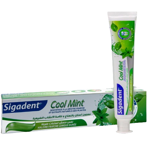 [12008999] SIGADENT COOL MINT 100 G X12