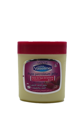 [12012343] VIVACOS VAS HUIL D FIG D BARBA