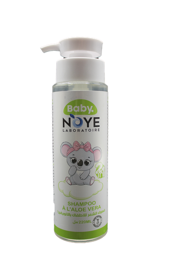 [12014548] NOYE SH BB 2EN1 ALOE VERA 220M