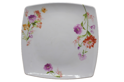 [31015487] ASS PLATE CARE GM MELAMINE