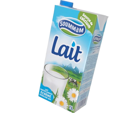 [DZ-00656] LAIT UHT SOMAM PRT ECRME1L