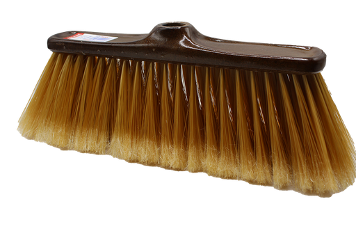 [31016933] BALAIS RENA ARIANE