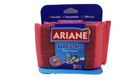 [31017661] EPONGE ABRASIF MAESTRO 2P