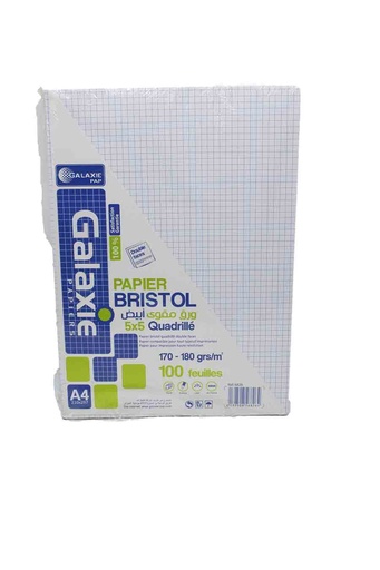 [32010639] PAPIER BRIST A4 QUAD100F HILL